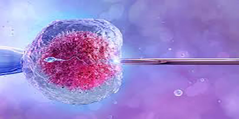 ivf-dieu-tri-vo-sinh