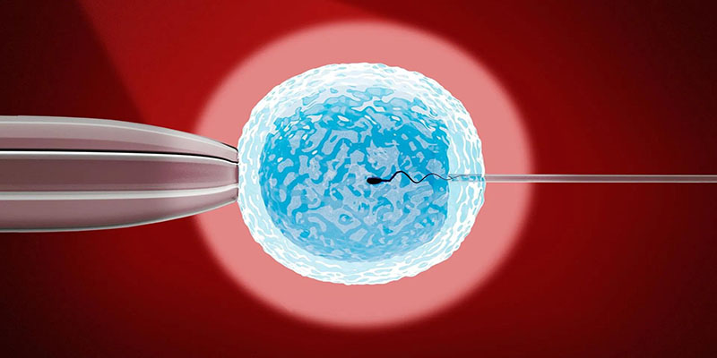 thu-tinh-ong-nghiem-ivf
